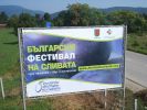 Сливова градина